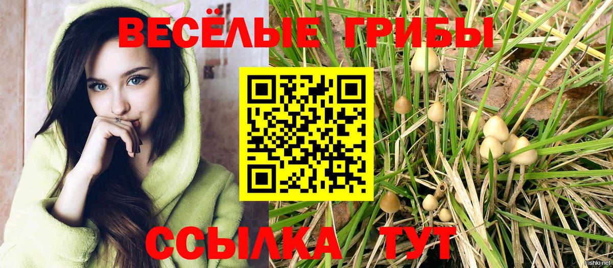 Лиски  Галлюциногенные грибы мицелий  Вход с VPN  Галлюциногенные грибы GOLDEN TEACHER 